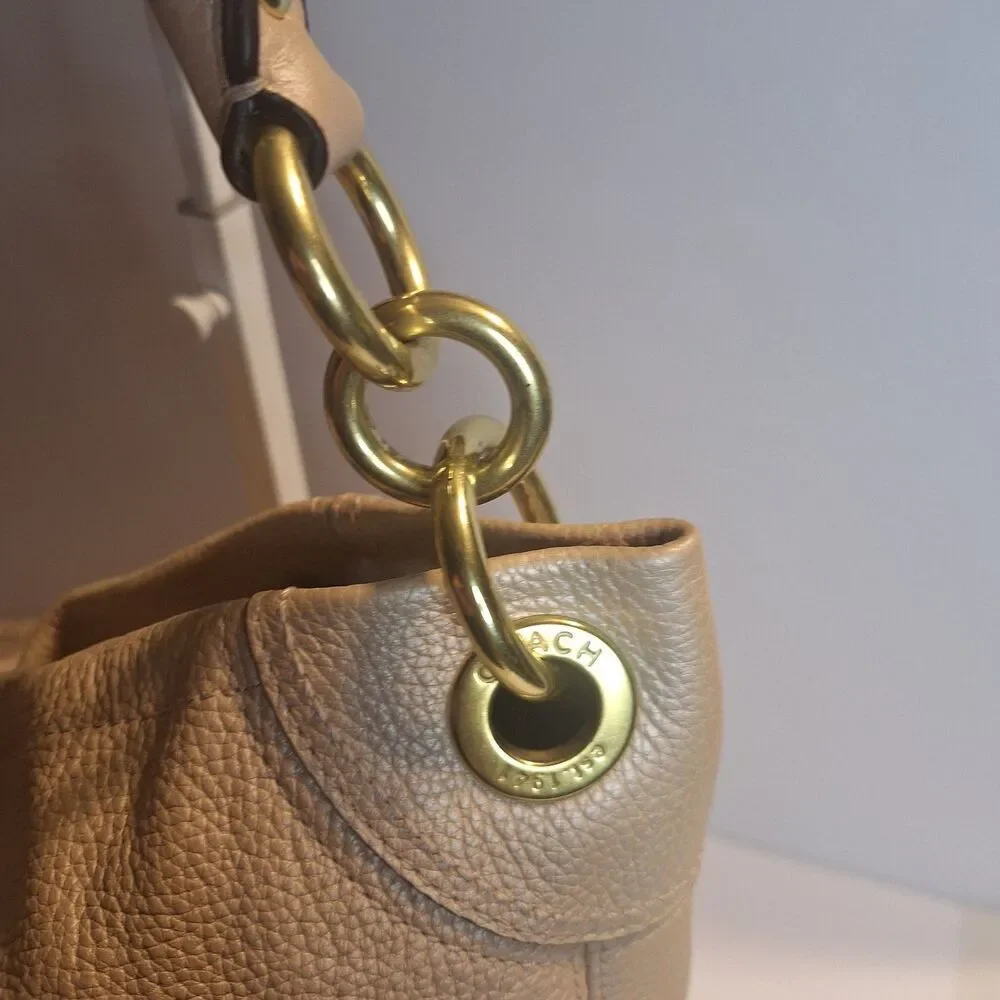 Coach Penelope Opalescent Leather Hobo Handbag. F18889